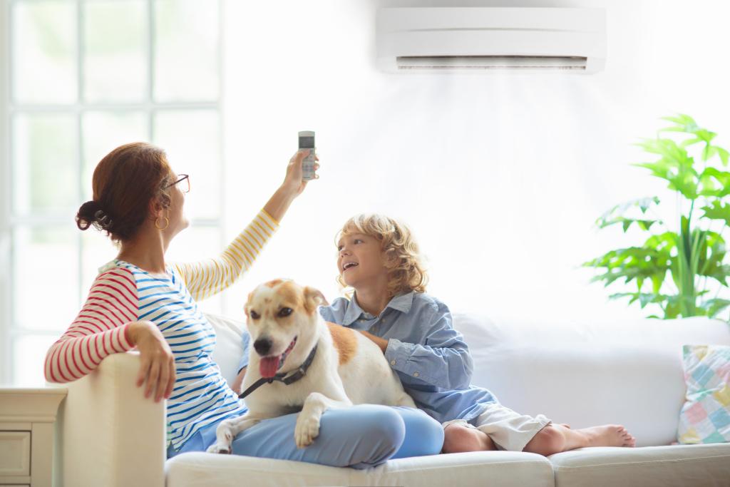 family with ductless air system